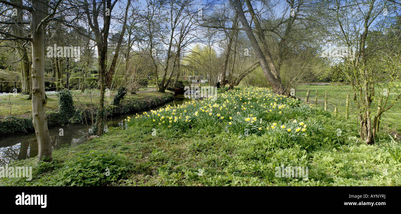 The banks of a river with bushes and trees Stock Photo - Alamy