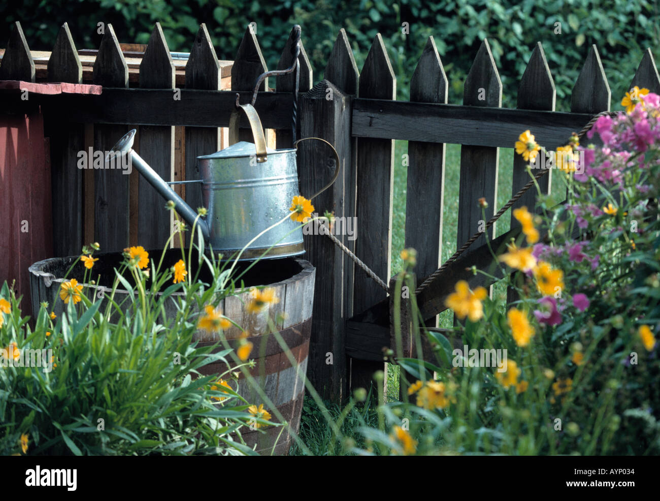Watering can in picket fenced garden Stock Photo