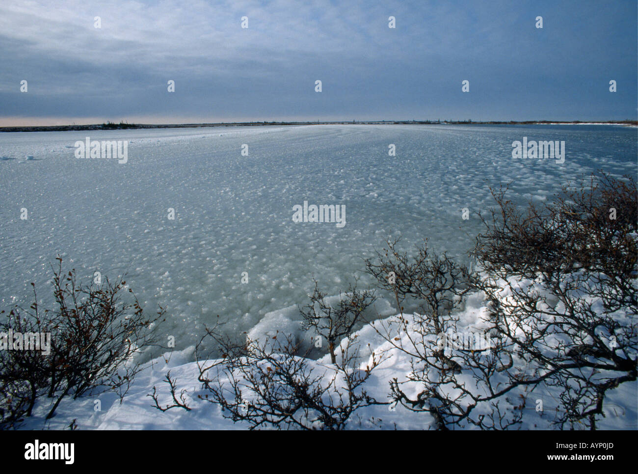 Canada f hi-res stock photography and images - Alamy