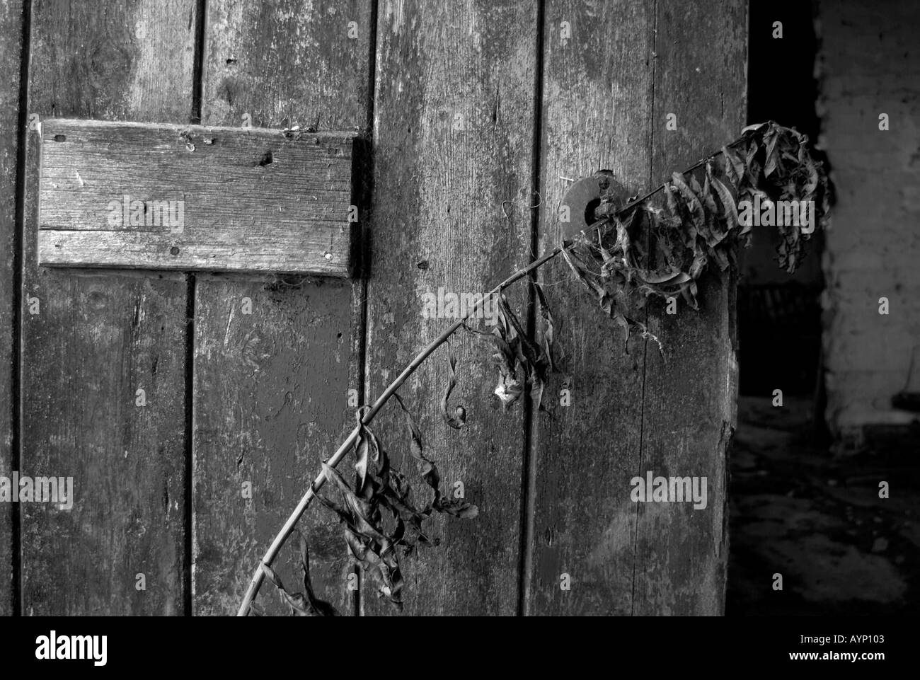 run down building deralict disused tatty abandoned broken window glass spooky renovation Stock Photo