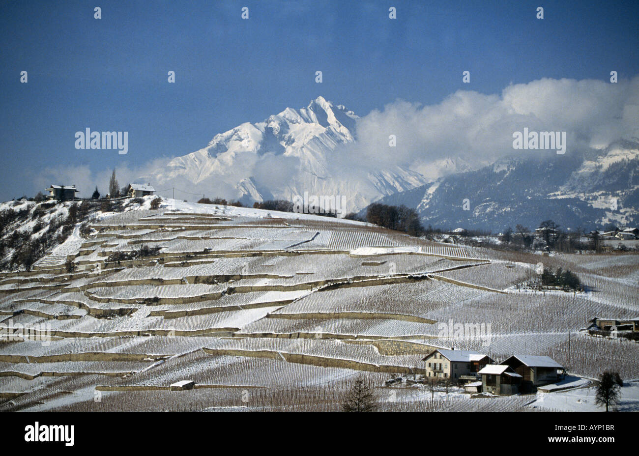 EUROPE SWITZERLAND A view of the Swiss Alps in winter and the vineyards ...