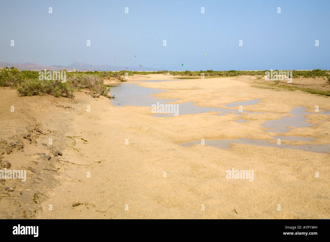 Salt marsh of Playa Sotavento de Jandia, Fuerteventura, Canaries, Spain Stock Photo