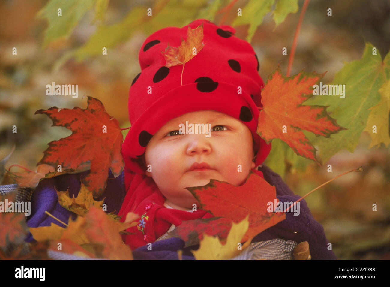 5-month-old-baby-sitting-in-autumn-leaves-stock-photo-alamy