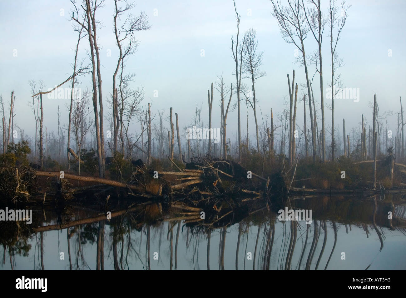 Alligator Creek North Carolina Stock Photo Alamy