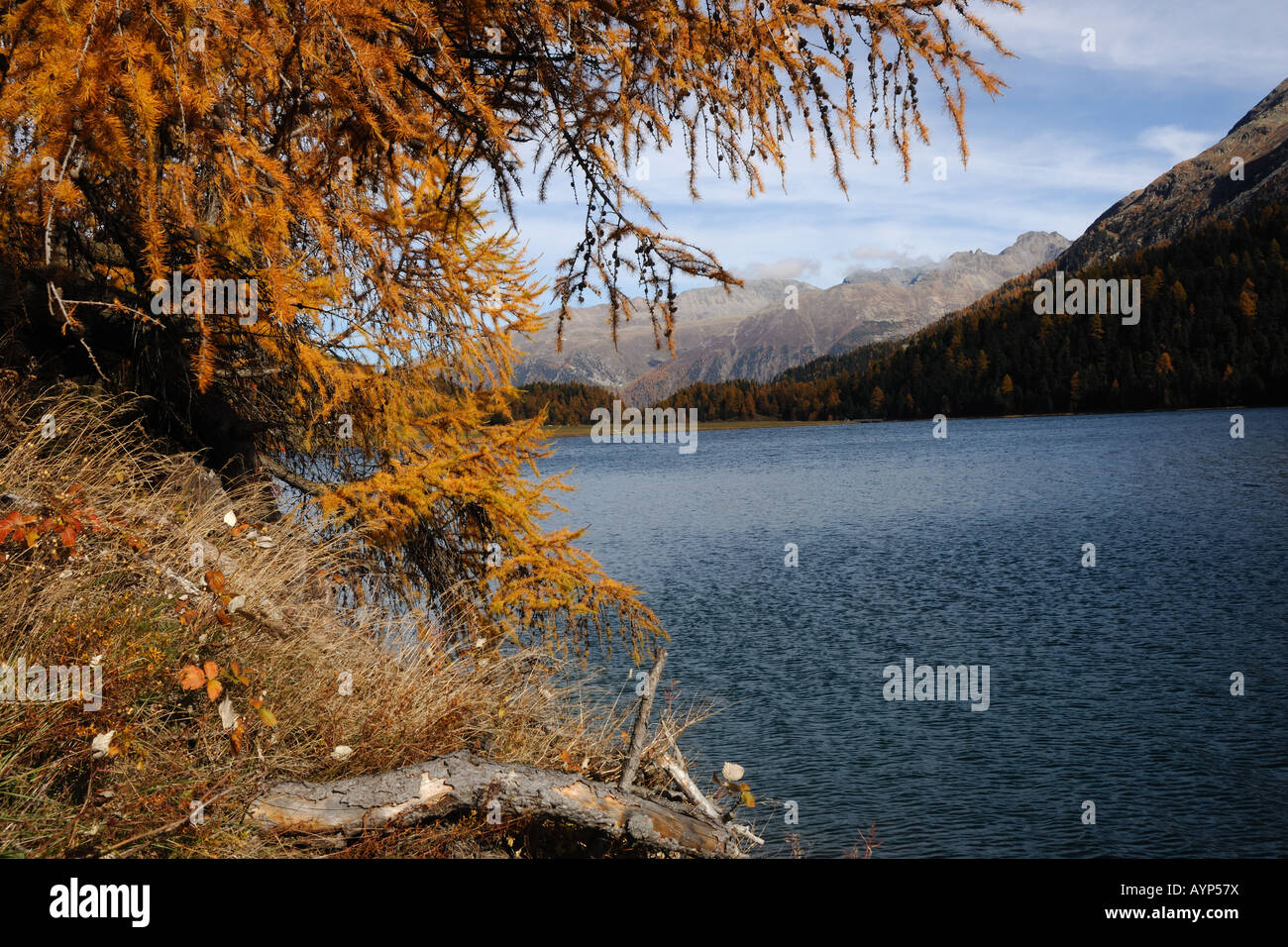 Lago di sils hi-res stock photography and images - Alamy