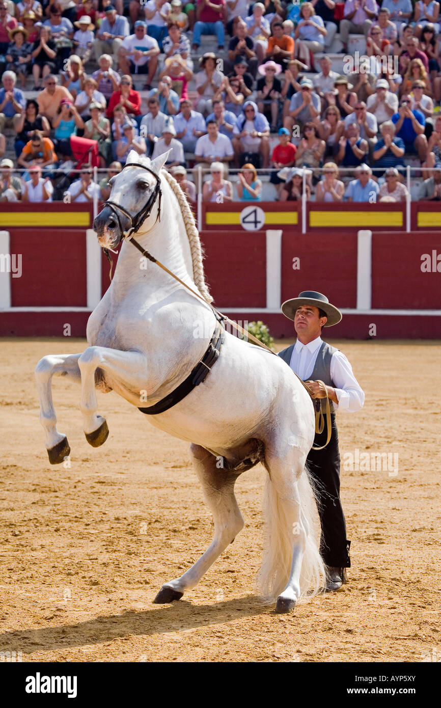 Fuengirola a caballo hires stock photography and images Alamy
