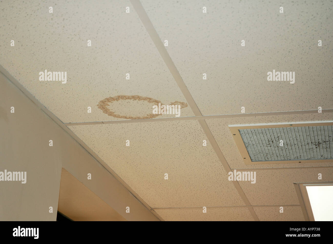 Damp Pentration Stain On Suspended Ceiling Stock Photo