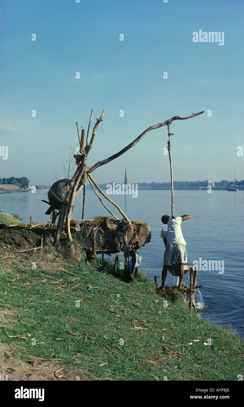 EGYPT North Africa Middle East Nile Delta Ancient Shaduf  Man using simple irrigation system on the bank of the River Nile Stock Photo