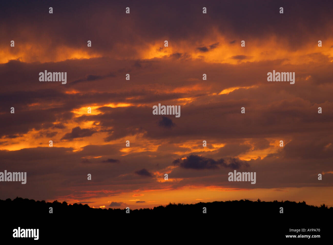 Cloudy sunset sky Stock Photo - Alamy