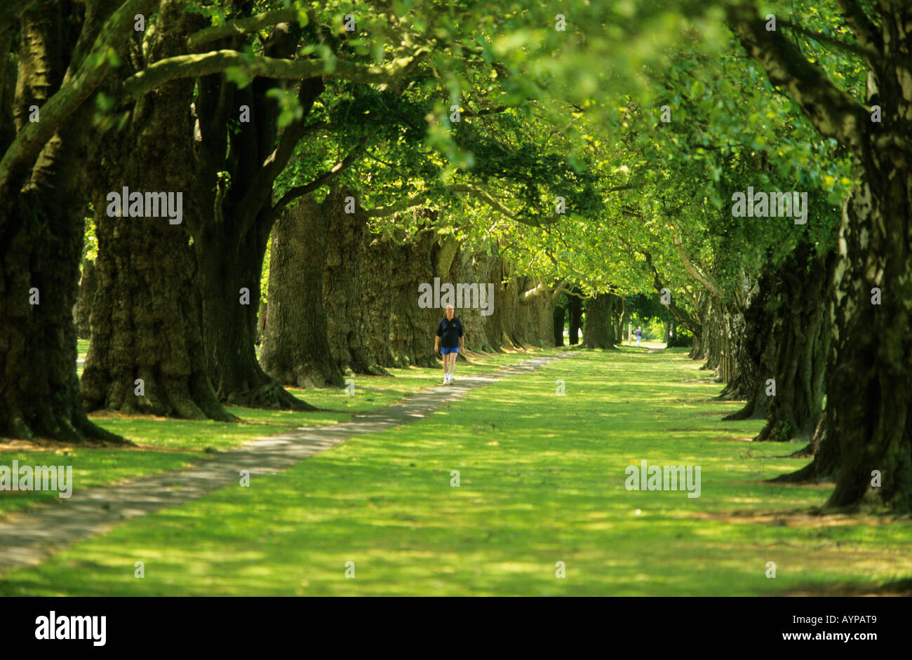 Shadowed along hi-res stock photography and images - Alamy