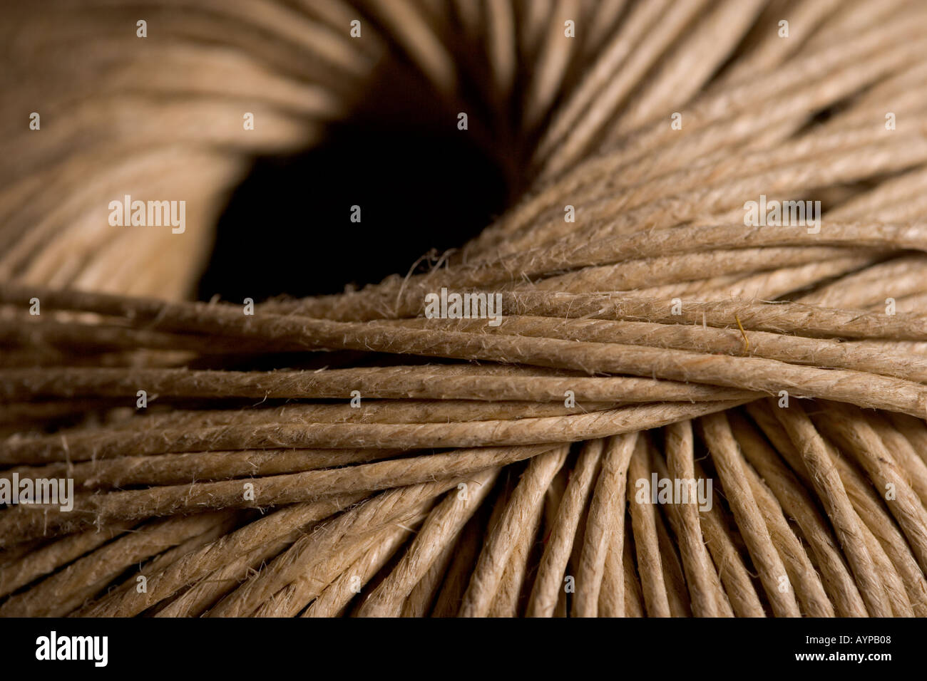 Flax stalk hi-res stock photography and images - Alamy