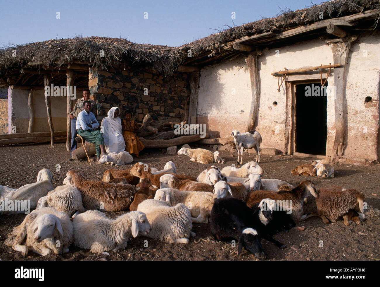 Eritrean family hi-res stock photography and images - Alamy