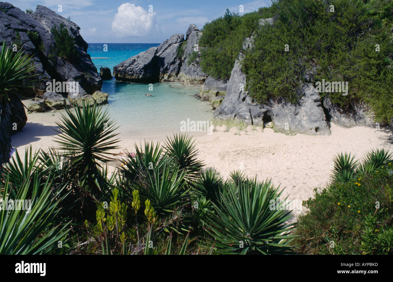 Jobsons cove bermuda hires stock photography and images Alamy