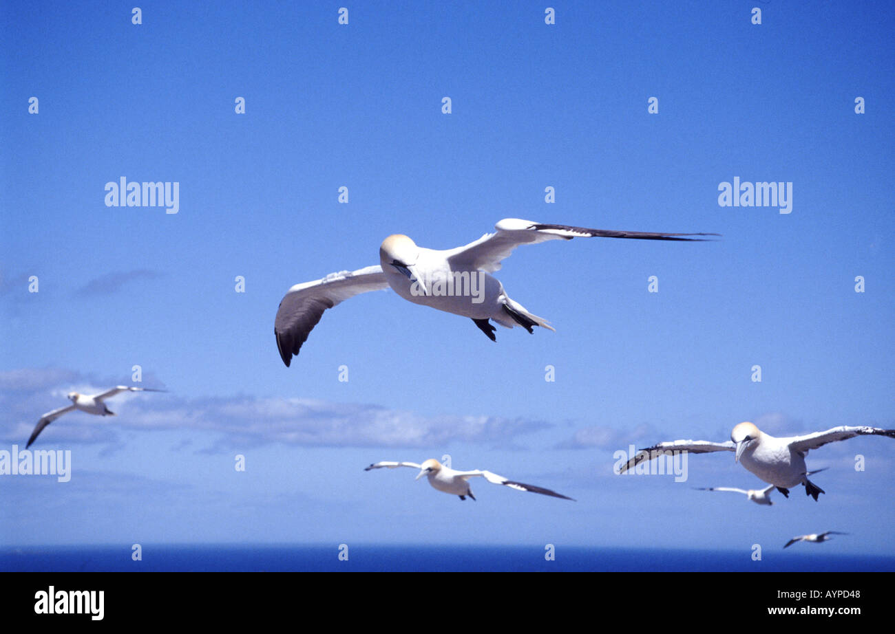 Air currents hi-res stock photography and images - Alamy