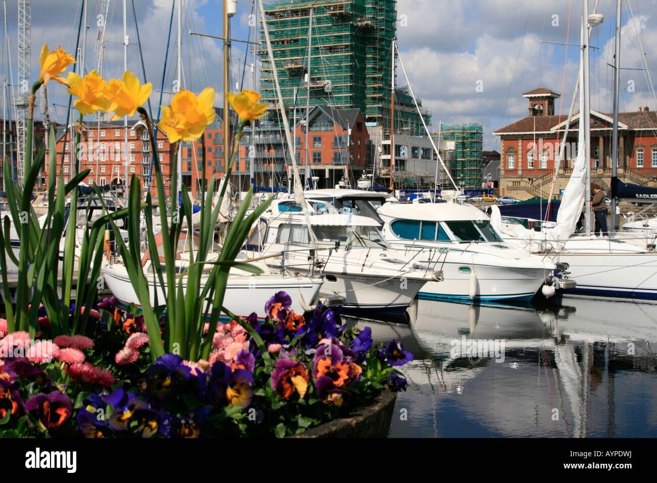 Spring flowers Ipswich Haven Marina is the awardwinning 250berth