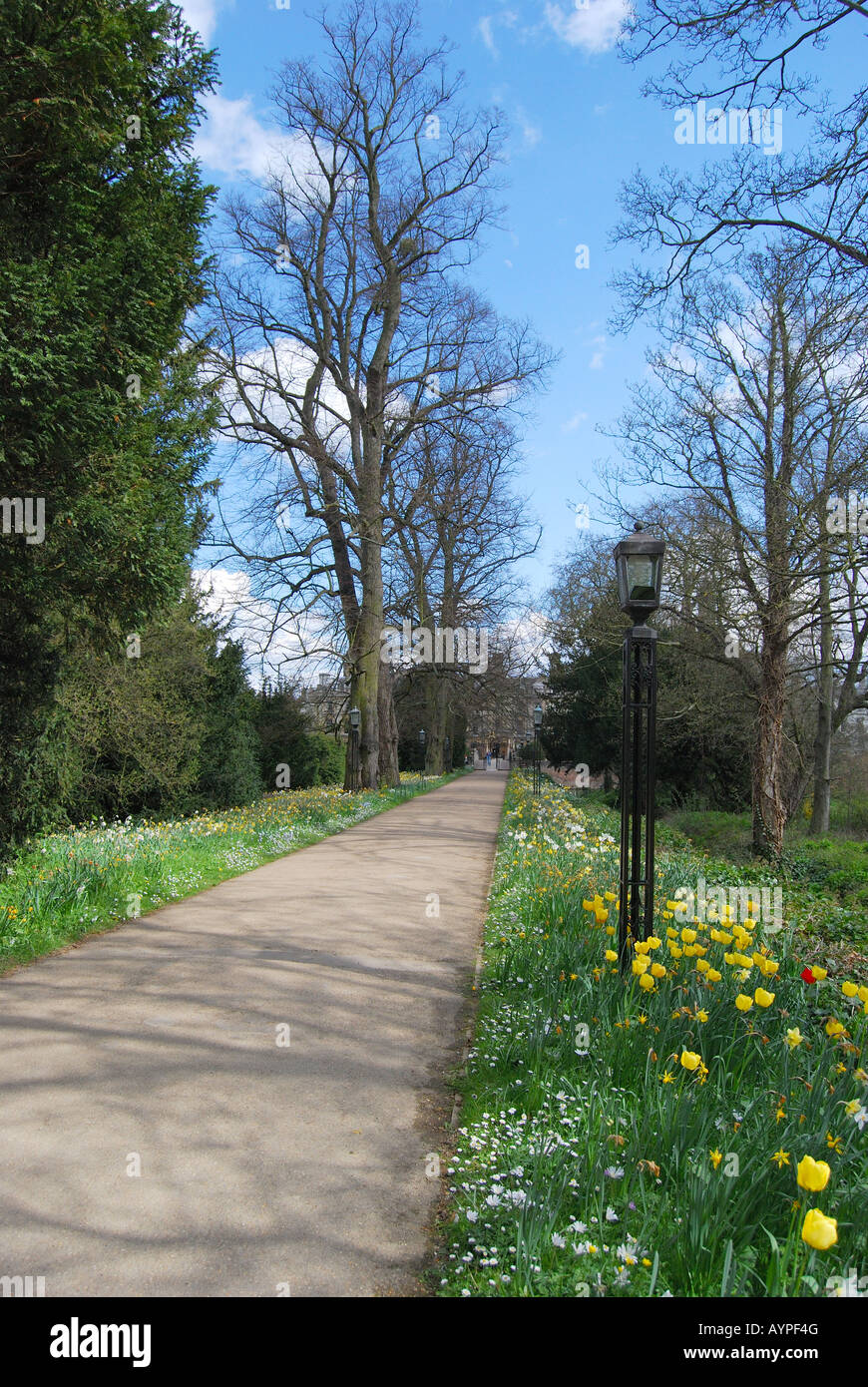 The Backs, Clare College, Cambridge, Cambridgeshire, England, United Kingdom Stock Photo