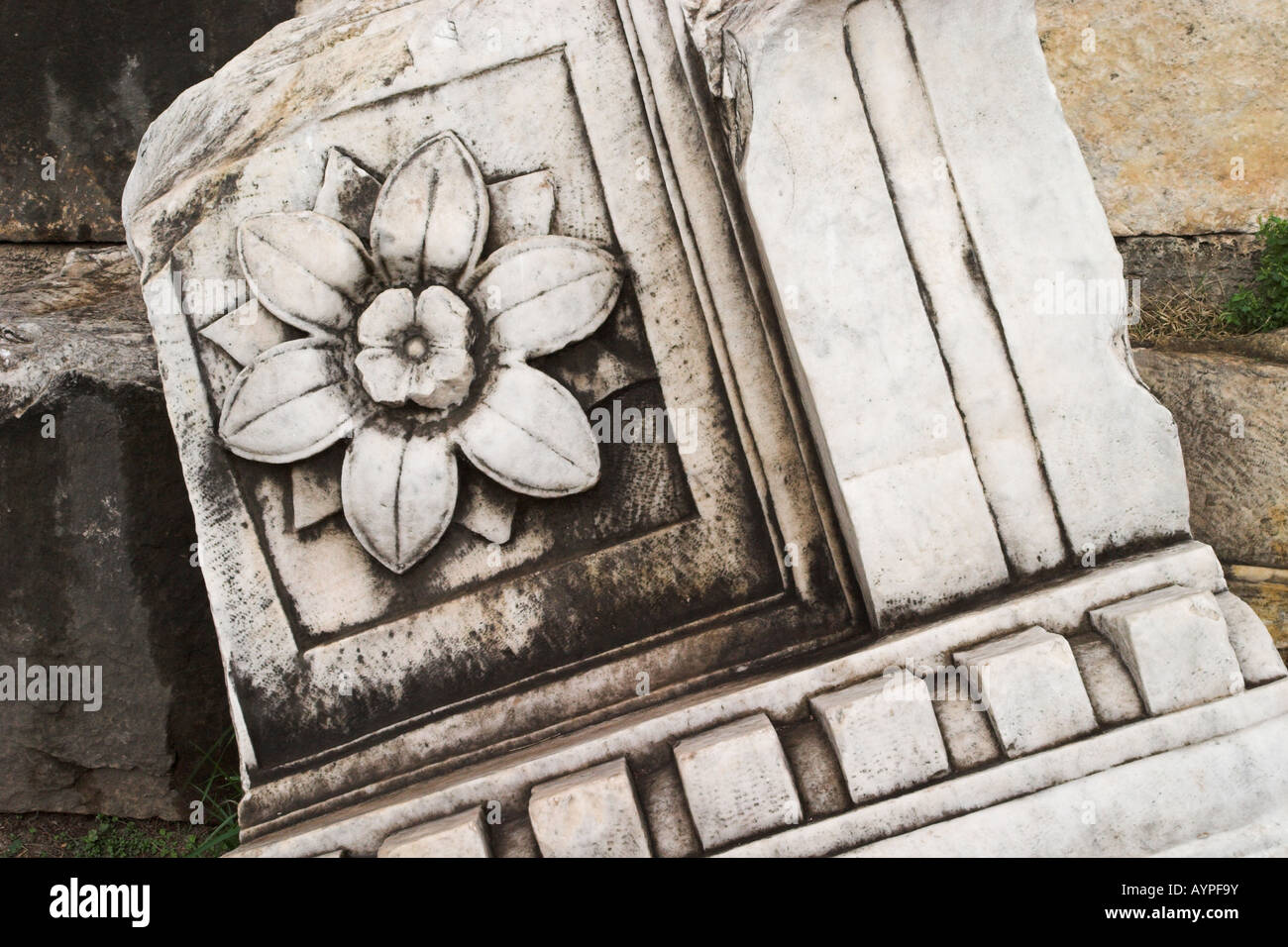 Close up of the Marble carving of a flower, The Forum, Rome, Italy