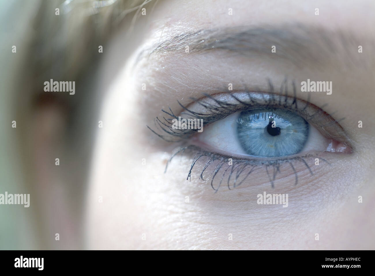 Woman blue eye close up hi-res stock photography and images - Alamy