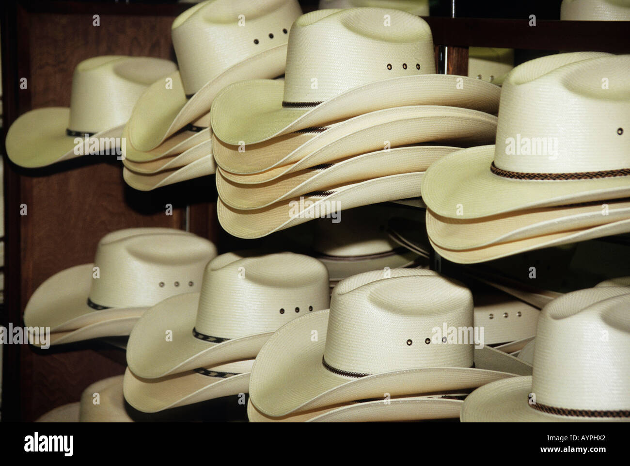 Cream coloured stetson cowboy hats in Sheplers Western Wear Store Festival  Bay Mall Orlando Stock Photo - Alamy