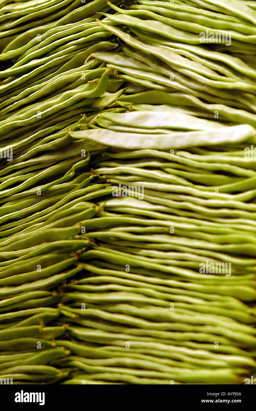 Heap of flat beans stacked together Stock Photo