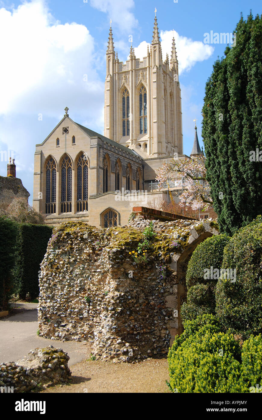 St Edmundsbury Cathedral from Abbey Gardens, Bury St Edmunds, Suffolk, England, United Kingdom Stock Photo