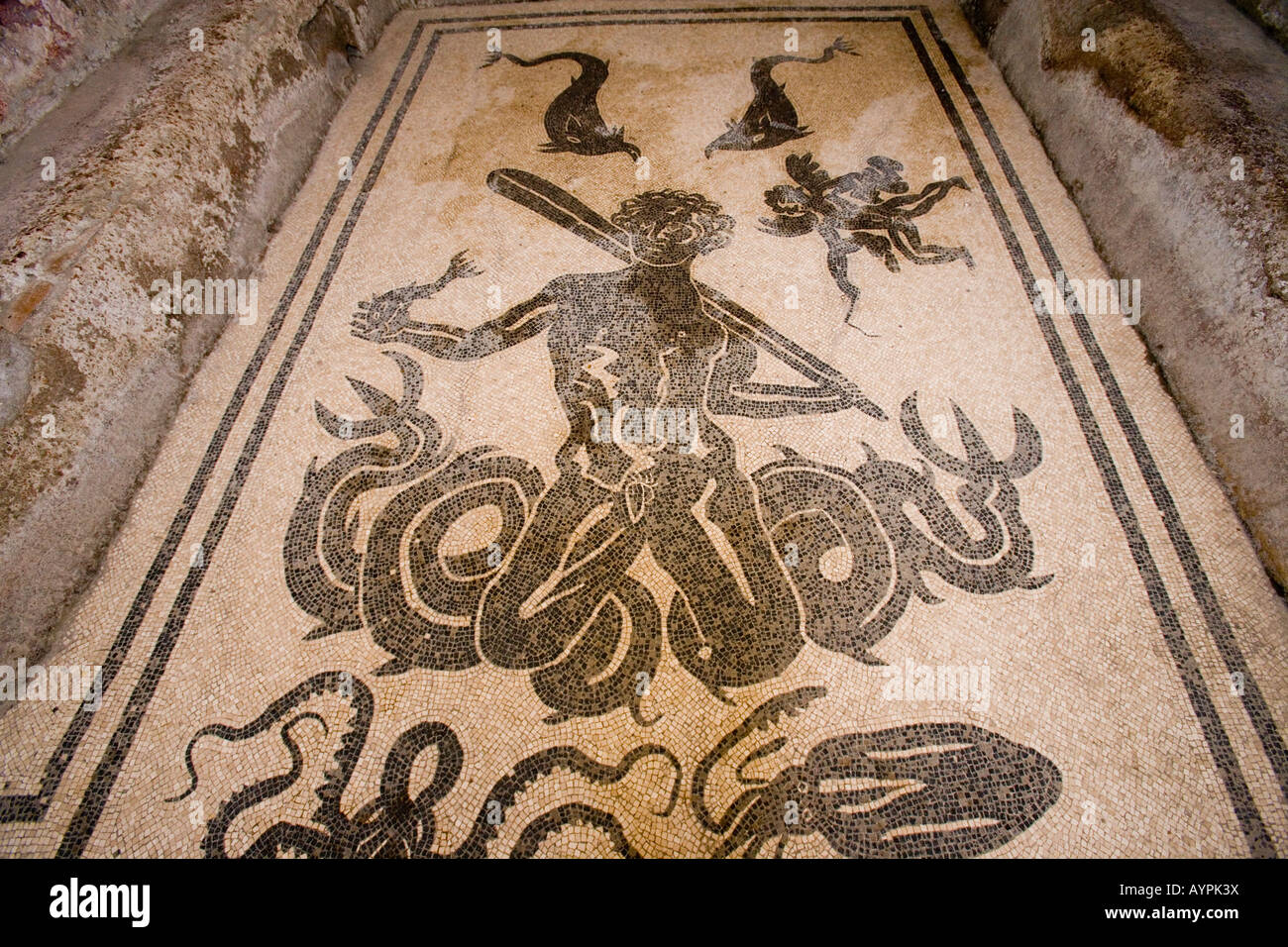 Mosaic floor of the god Neptune and sea creatures in the women's baths, Herculaneum, Italy Stock Photo