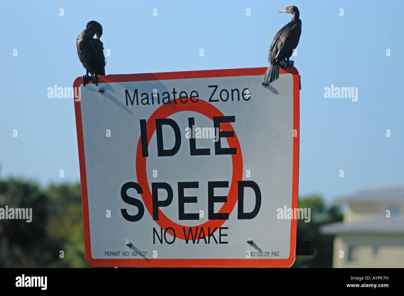 Manatee safety sign on Crystal River, Florida USA birds on sign cormorants, speed boat danger, endangered mammals animals Stock Photo
