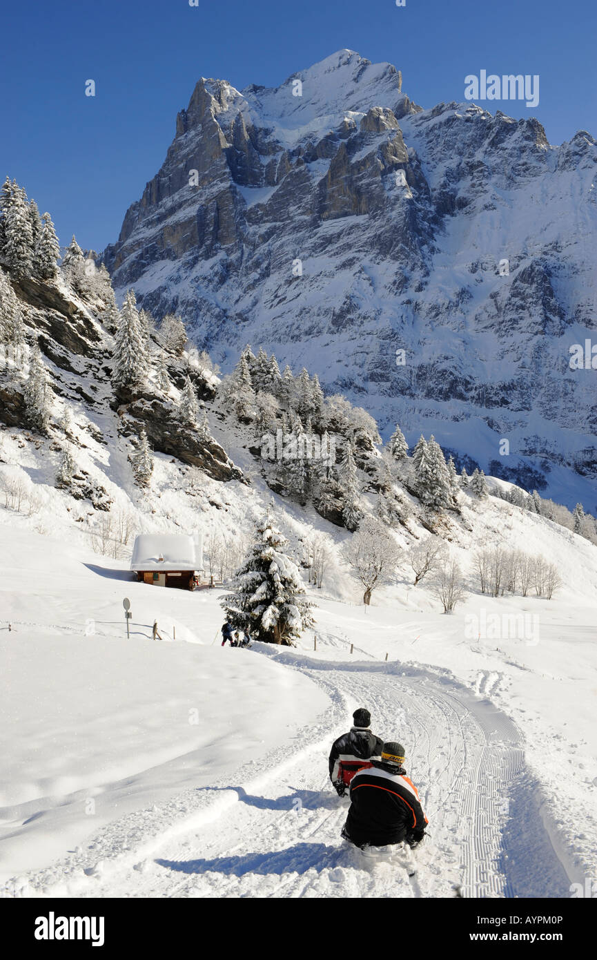 Toboggan or sledging from Grindelwald First with the Wetterhorn behind