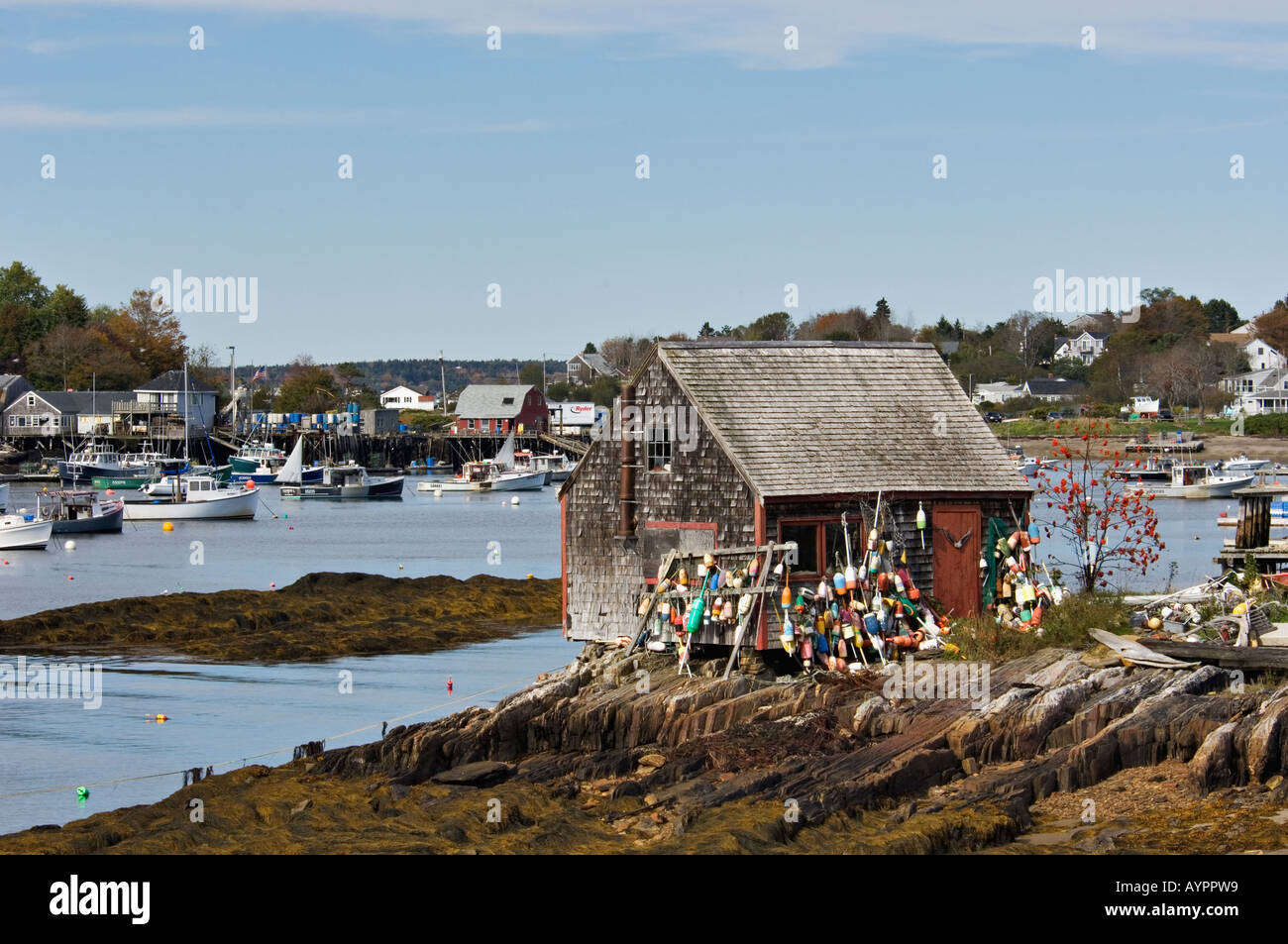 Lobster Buoys Outside of Fishing Shack at Low Tide on Mackerel Cove