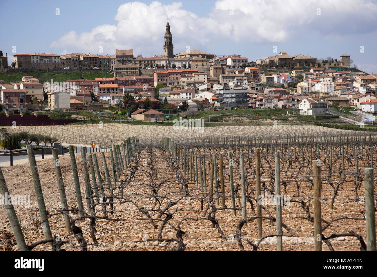 Landscape in La Rioja, Spain Stock Photo