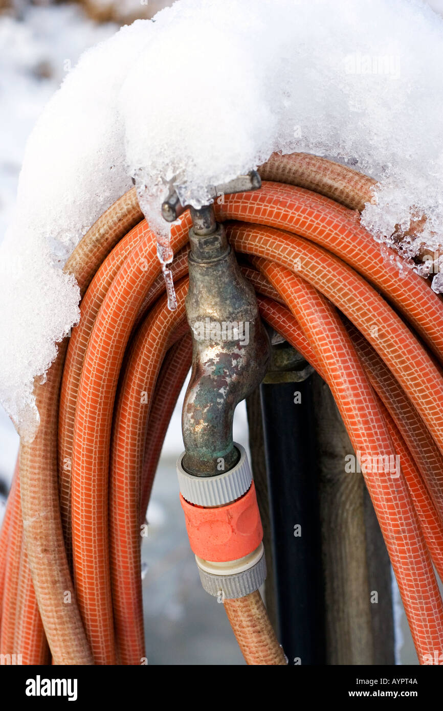 Frozen orange water hose Stock Photo Alamy