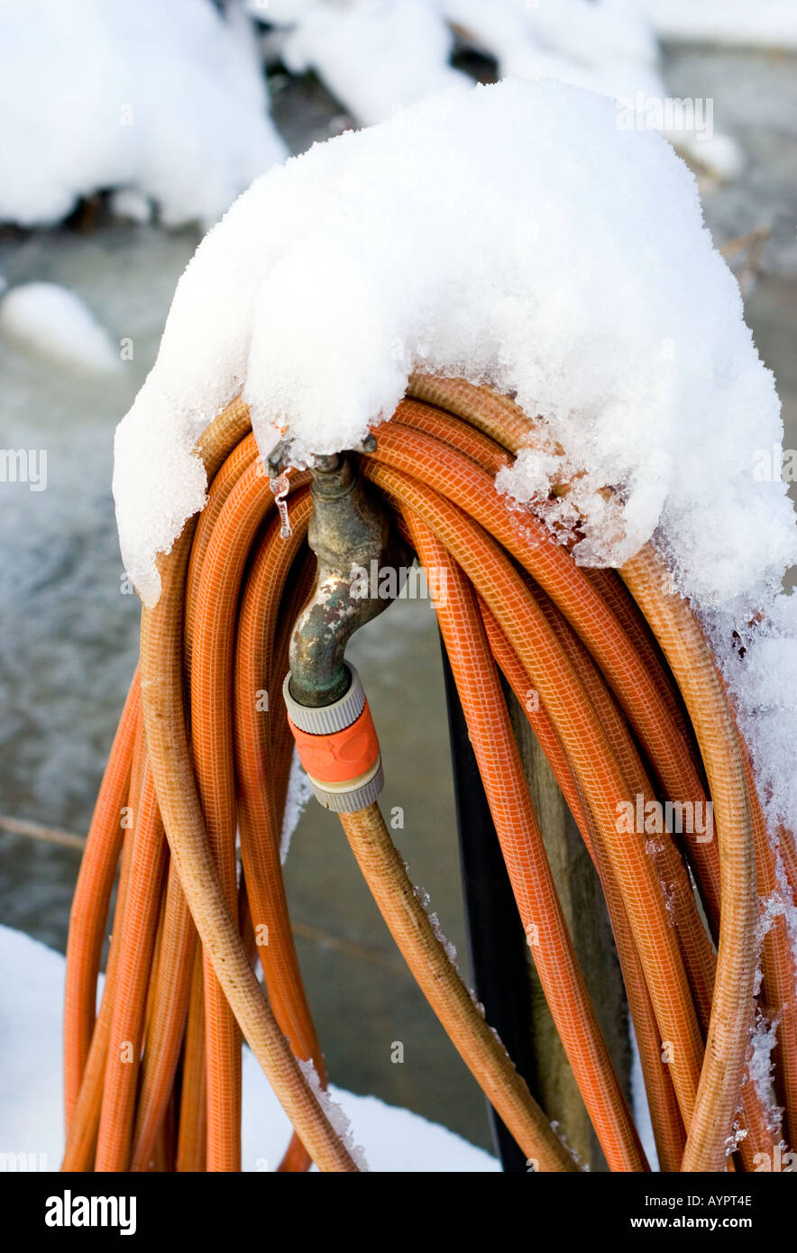 Frozen orange water hose Stock Photo Alamy
