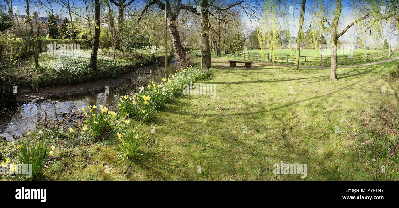 The banks of a river with bushes and trees Stock Photo - Alamy
