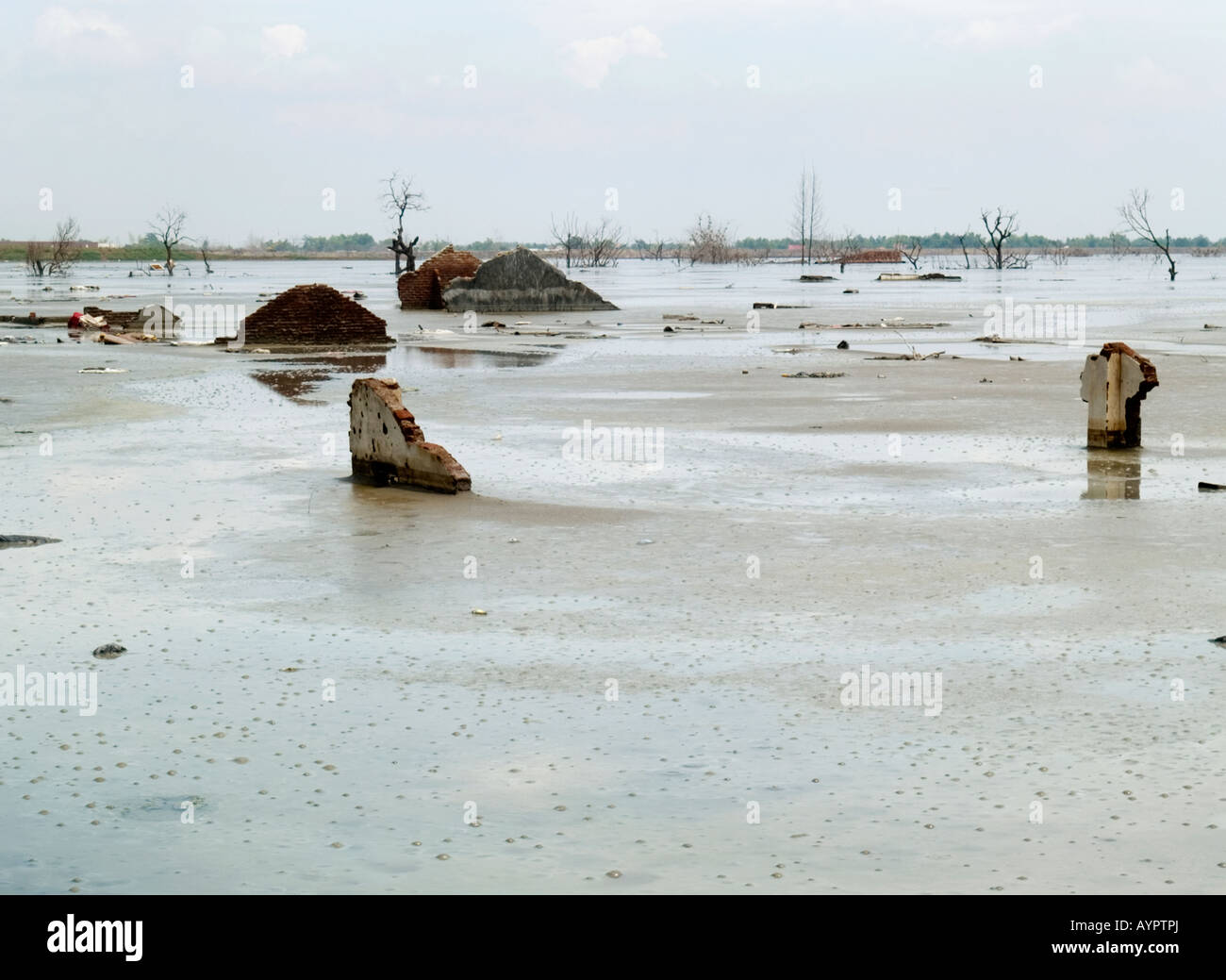 Tops of the shells of houses poking out of the hot mud that engulfed them,Sidoarjo,East Java,Indonesia. Stock Photo