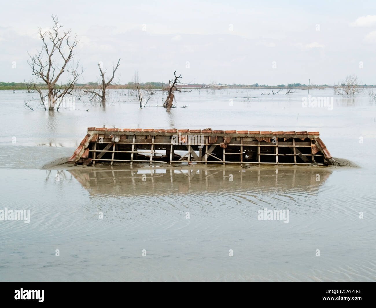 Broken rooftop of a house submerged in hot mud and water,dead trees behind,Sidoarjo,East Java,Indonesia. Stock Photo