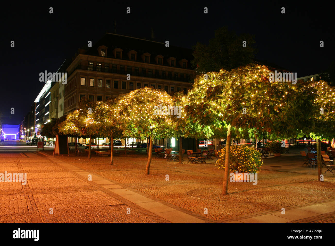 Illuminated trees blowing in hi-res stock photography and images - Alamy