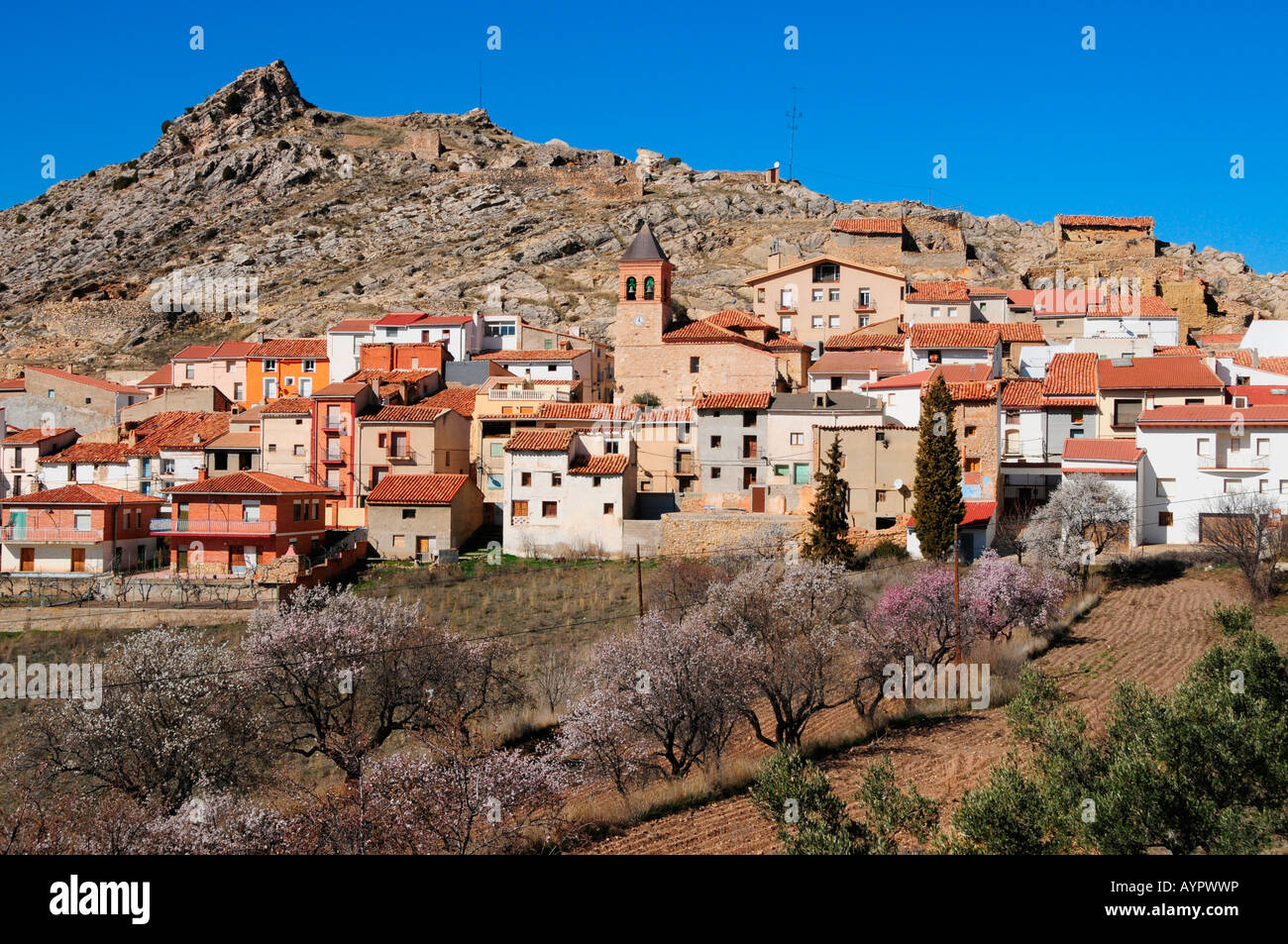 Houses in the town of Gargallo in the afternoon sun, Teruel Province, Spain, Europe Stock Photo