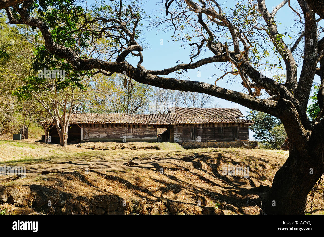 Rosa Parks Haus High Resolution Stock Photography And Images Alamy