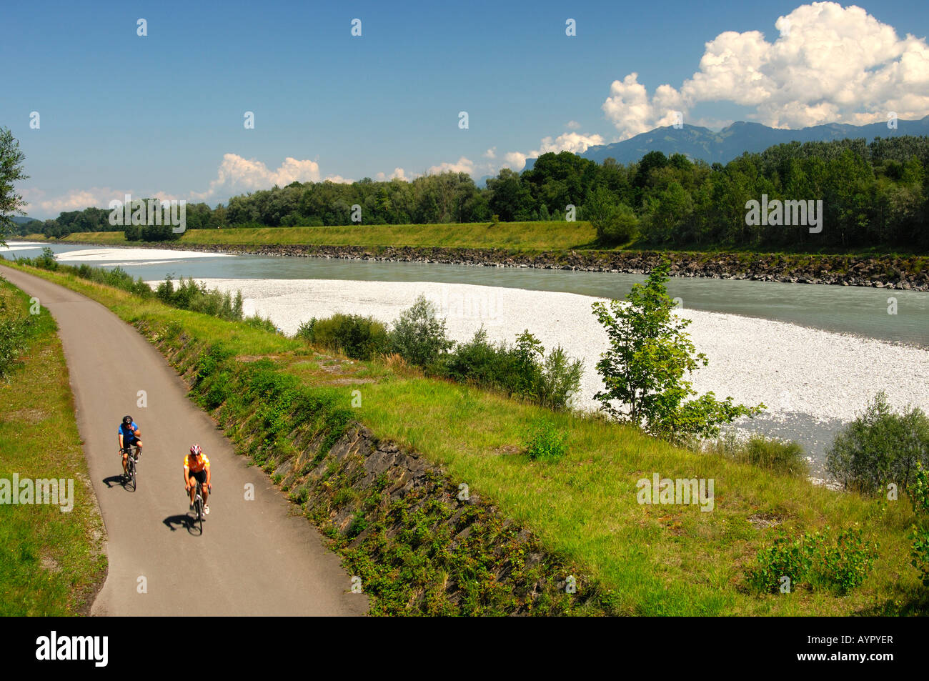 Cyclists in the Rhine River Valley, view from the left bank (Swiss side) toward Liechtenstein on the right bank Stock Photo