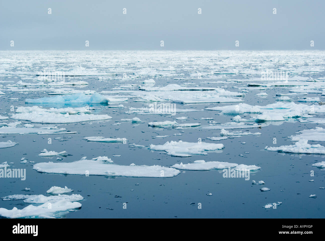 Sea ice in Hinlopen Strait Svalbard Stock Photo - Alamy