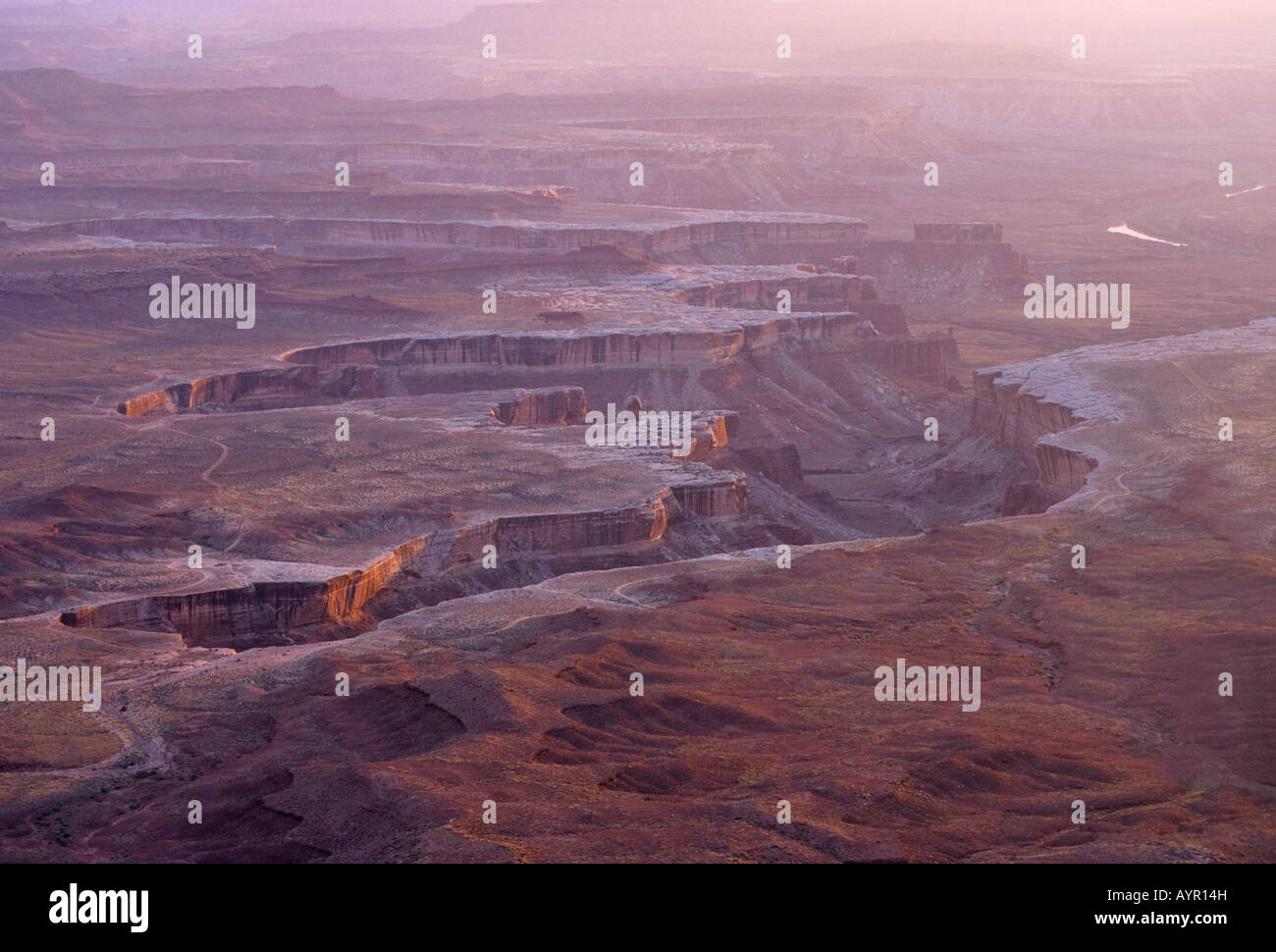 Green River Overlook, Canyonlands National Park, Utah, USA Stock Photo