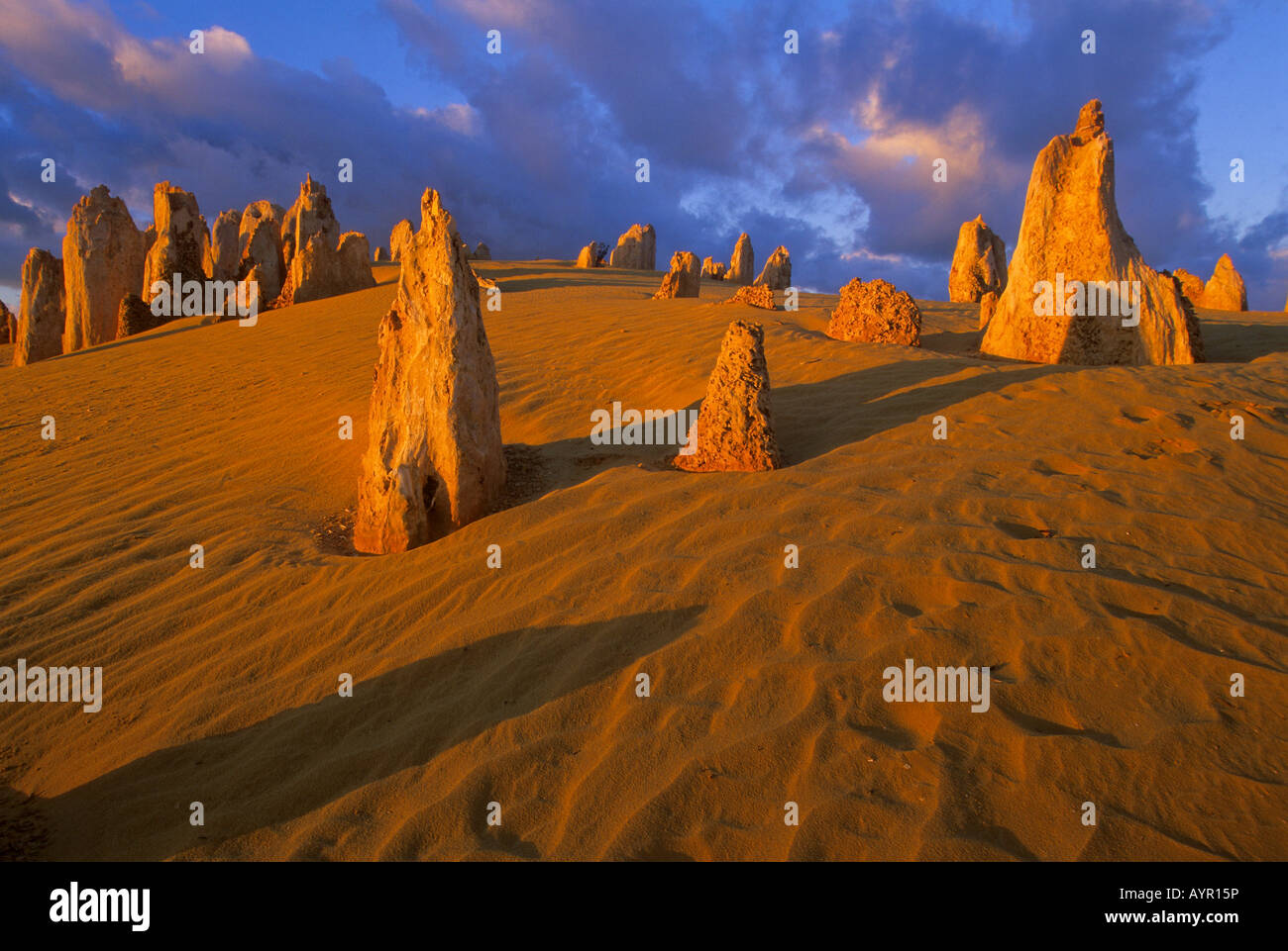 Pinnacles Desert, Nambung National Park, Kalbarri Region, Western Australia, Australia Stock Photo