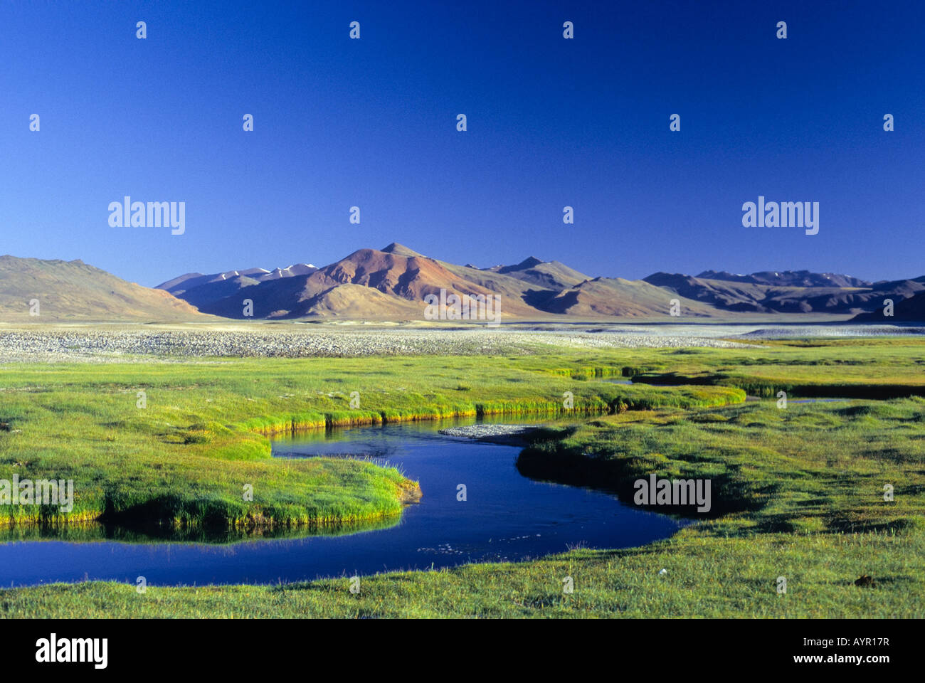 Meandering offshoot of Lake Kar Tso, grassy plateau and snow-covered peaks at over 4900 metres, Himalayas, Ladakh, India Stock Photo