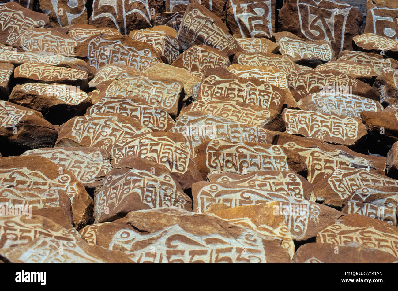 Mani rocks with Buddhist inscriptions, Himalayas, Ladakh, India Stock Photo