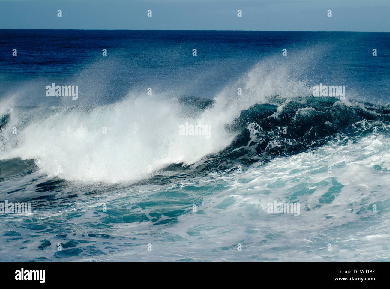 Large breaking ocean wave Stock Photo