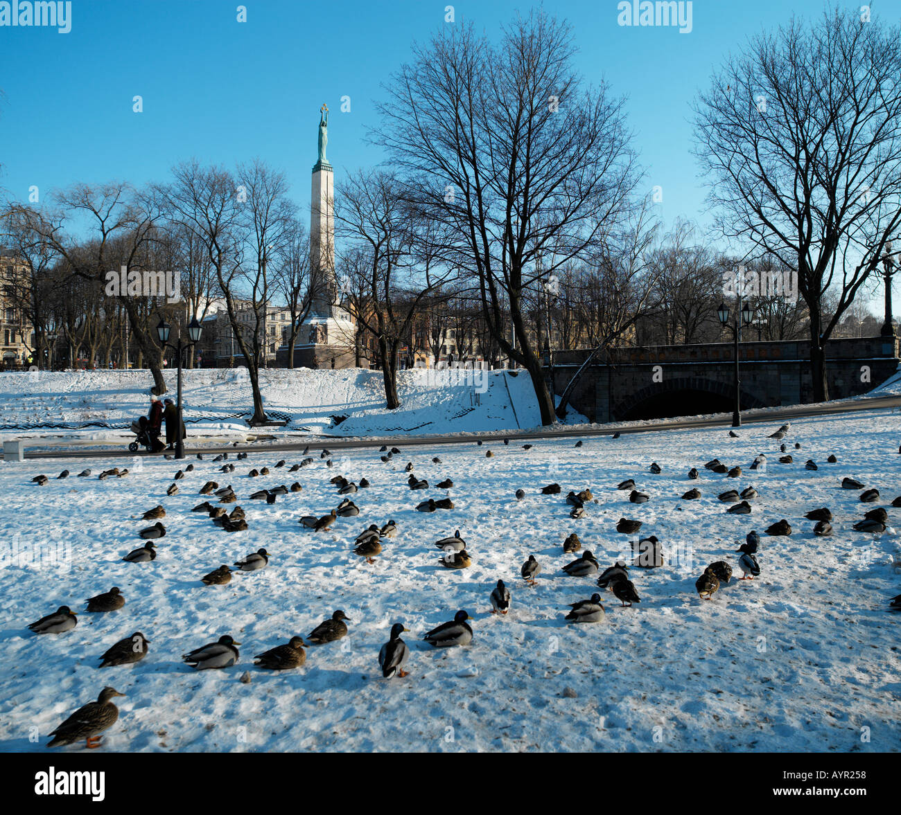 riga park  Stock Photo