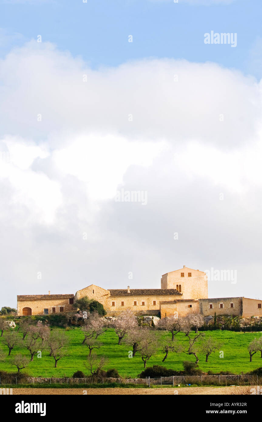 Country estate and blossoming almond trees in January, Majorca, Balearic Islands, Spain Stock Photo