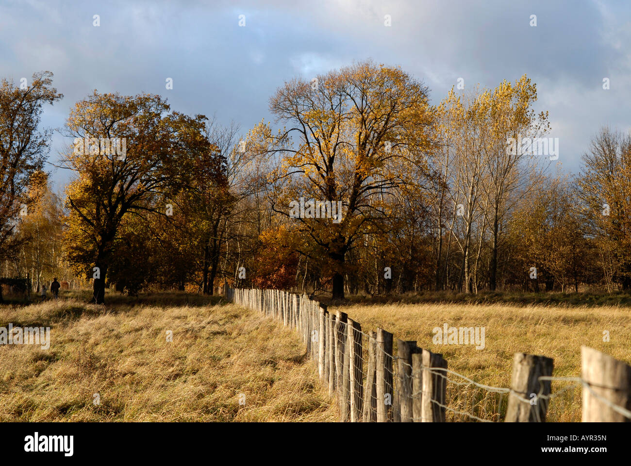 Dark clouds over an autumn landscape, colourful trees at the edge of a