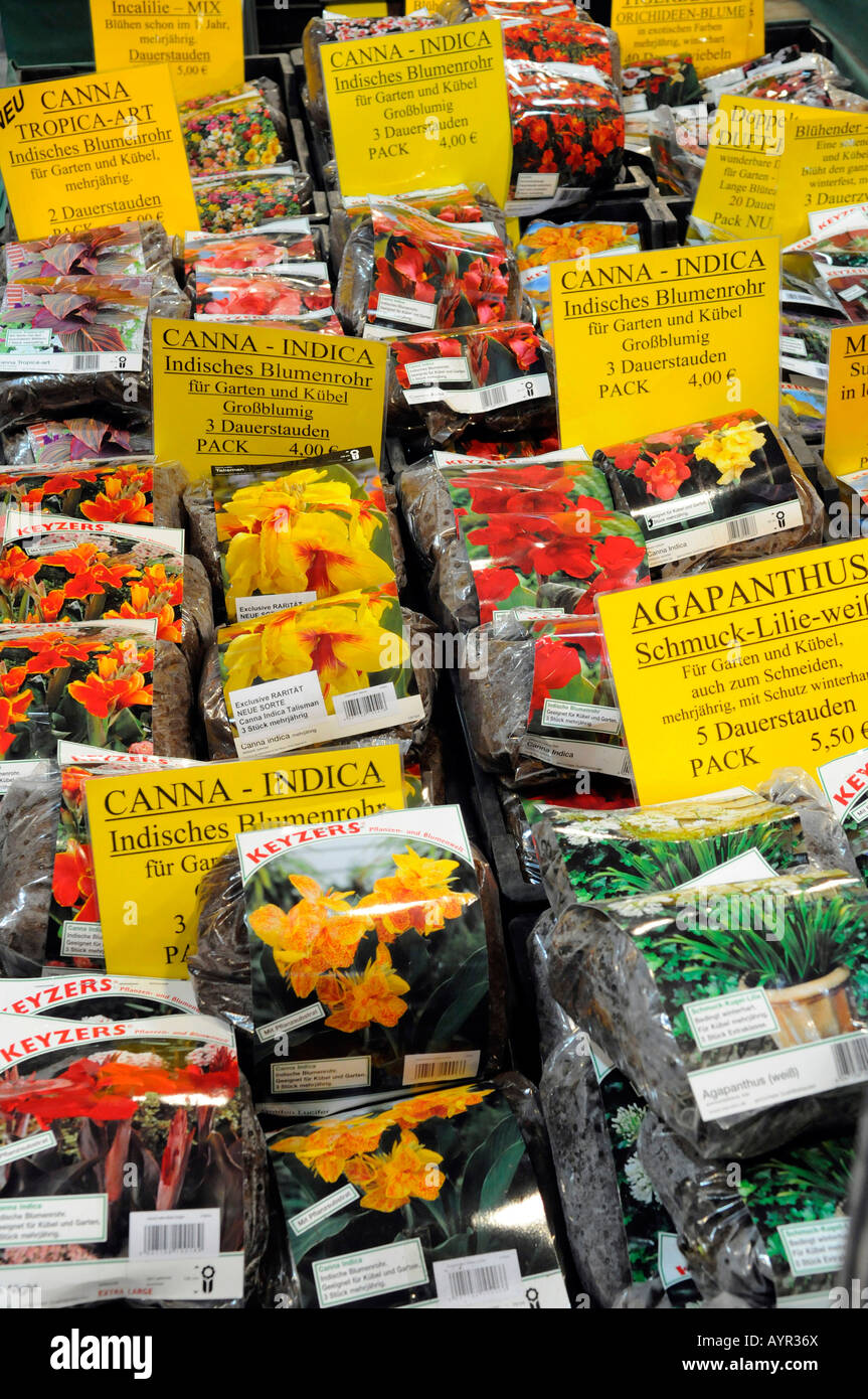 Various types of plants hires stock photography and images Alamy