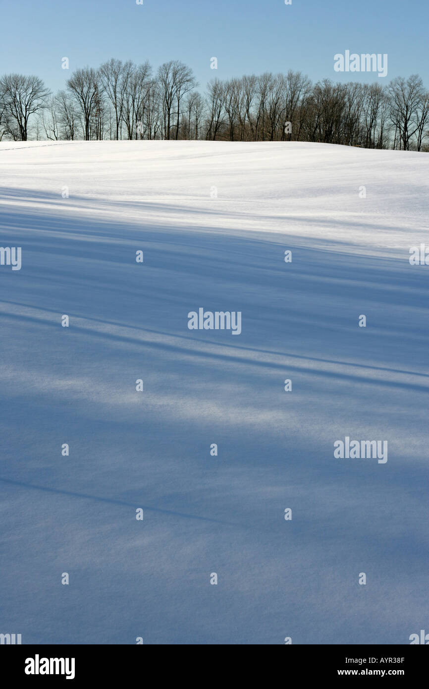A snow covered field in winter with the shadows of trees stretching across the foreground Stock Photo